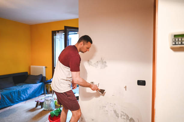 Best Bathroom Mold Remediation in Missoula, MT